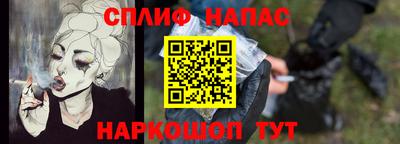 индика Дубна