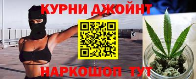 индика Дубна