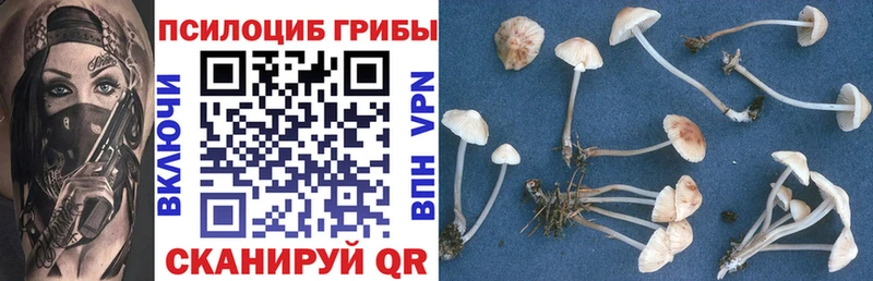 Галлюциногенные грибы мицелий  Петровск 