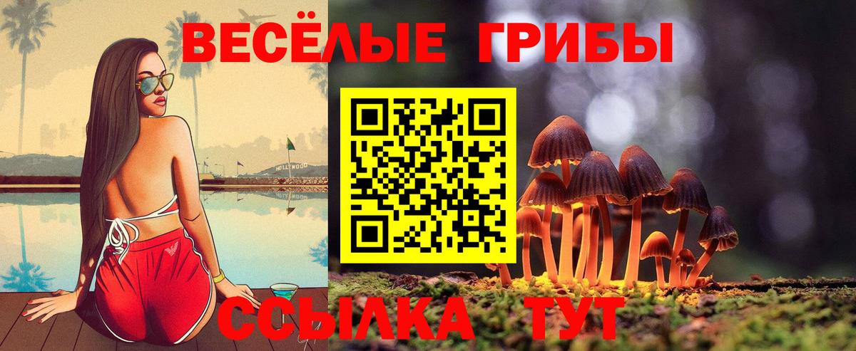 Галлюциногенные грибы мицелий Петровск
