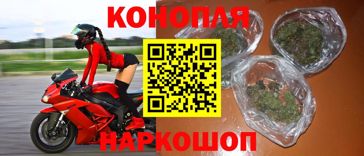 Бошки Шишки VHQ Петровск